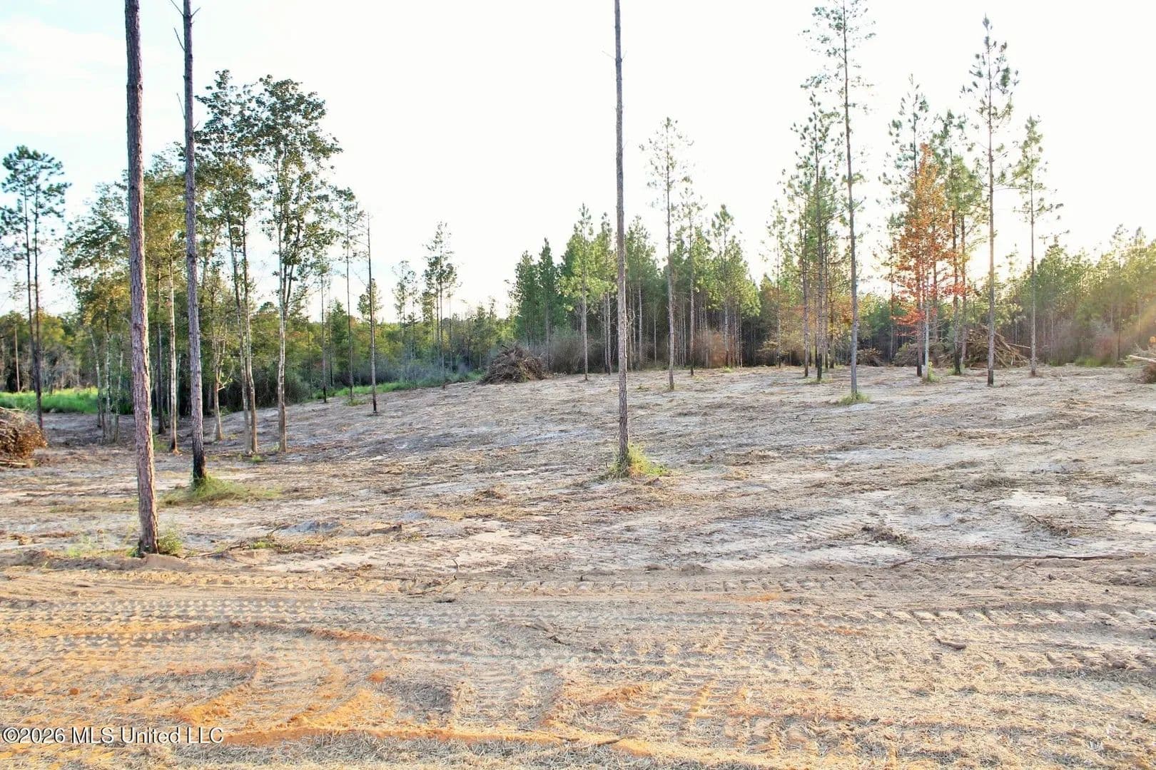Lots & Land-Other in Lucedale - Lucedale, Mississippi, 39452