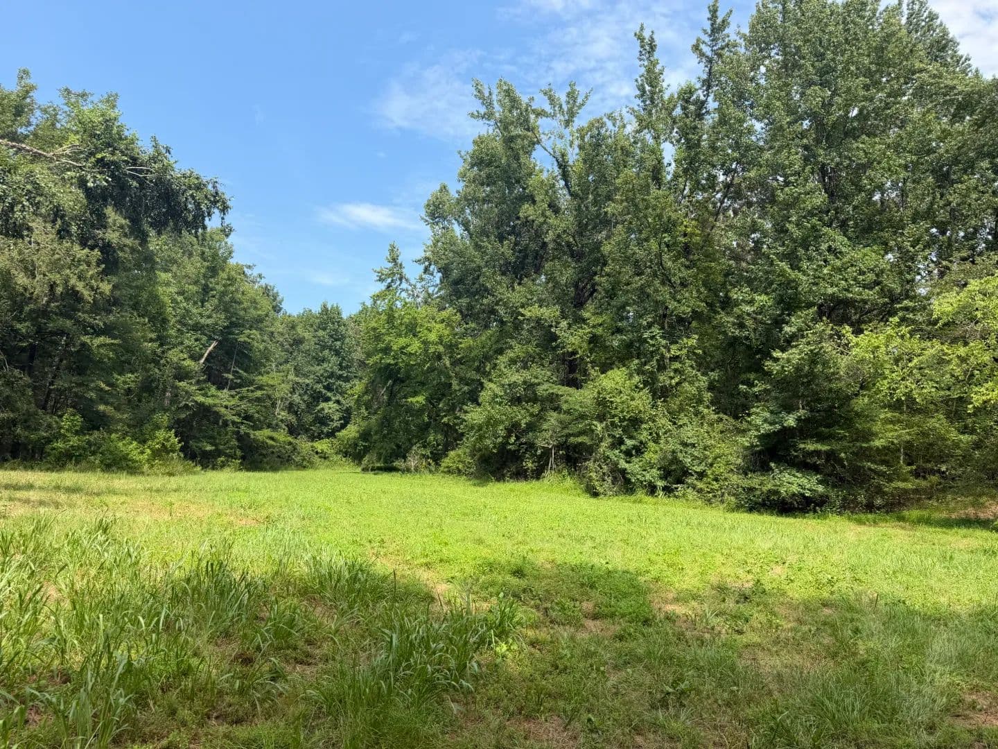 132.04 Acres in Lafayette County, MS  - Oxford, Mississippi, 38655