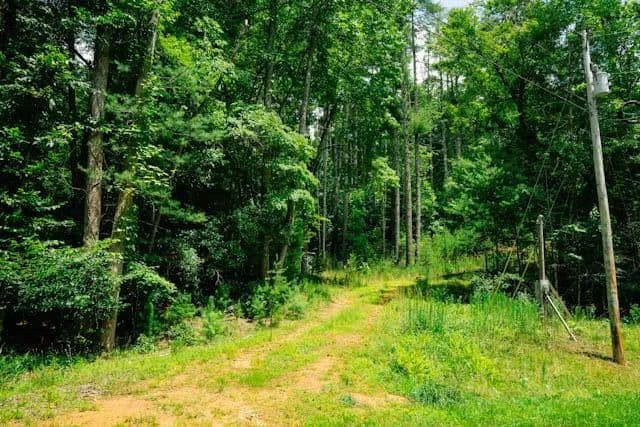 Property from Lot 11 Quail Cove Circle - KW - Warne, North Carolina, 28909