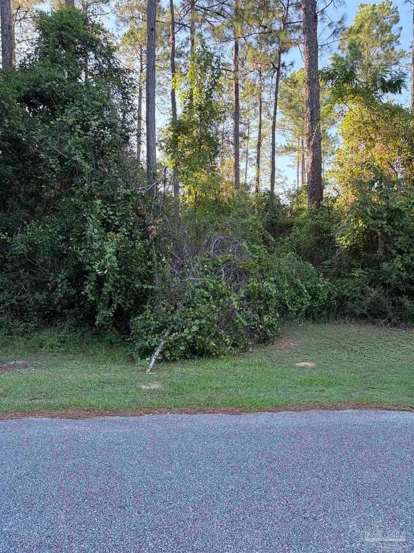 Lots & Land-Other in Cantonment - Cantonment, Florida, 32533