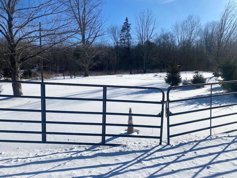 Building Lot near Allen Lake in Caneadea NY 8708 Oramel Hill Road