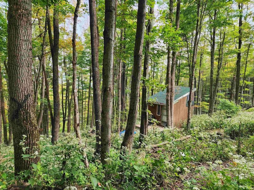 Lots & Land-Other in Harman