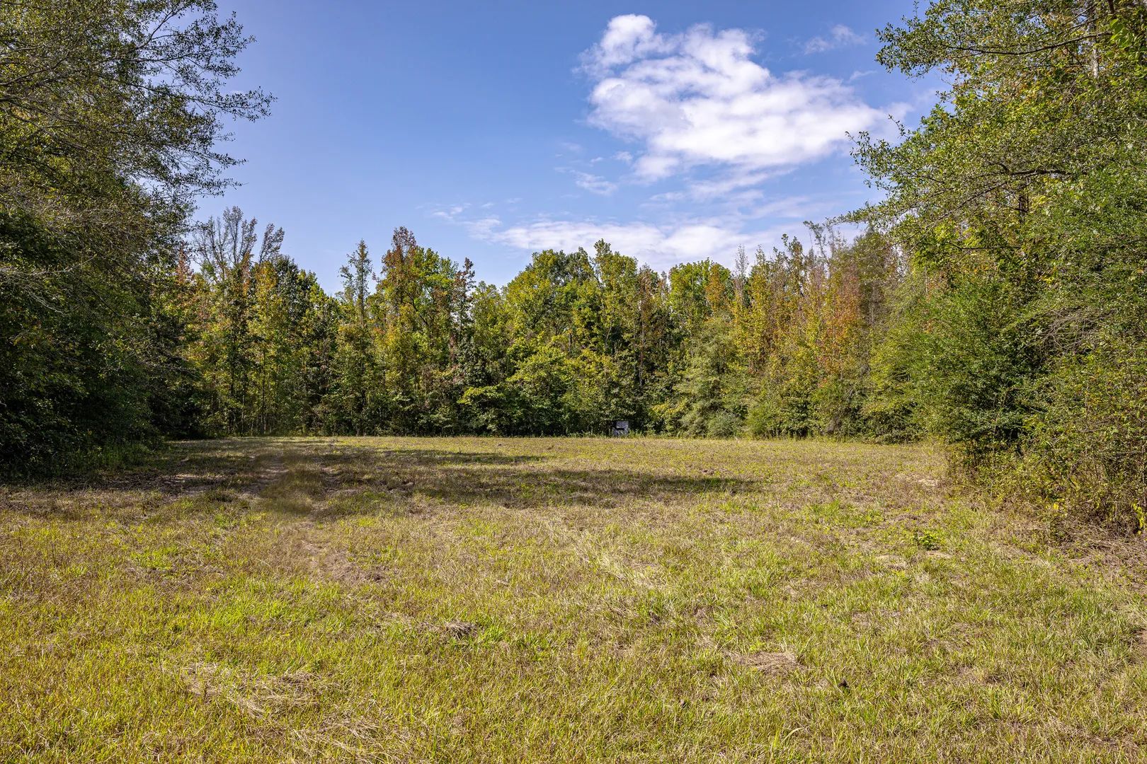 Big Black Riverfront Hunting & Fishing Paradise - land for sale