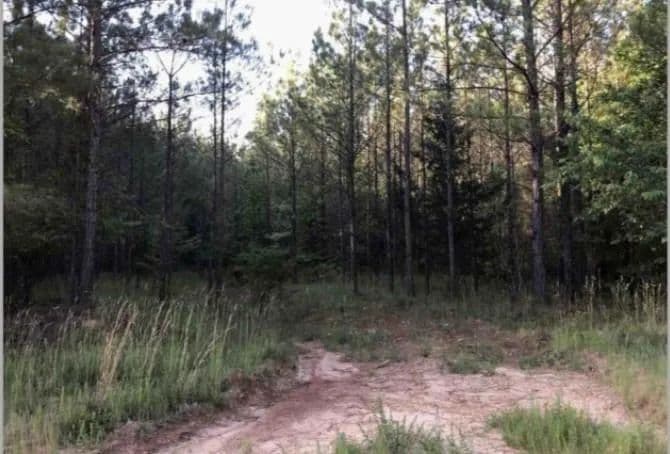 Vacant Land in Crawfordville