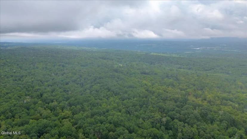 Land -Single Family Acreage in Duanesburg