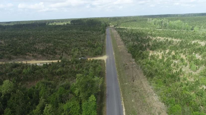 Barrow Forest Tract 9