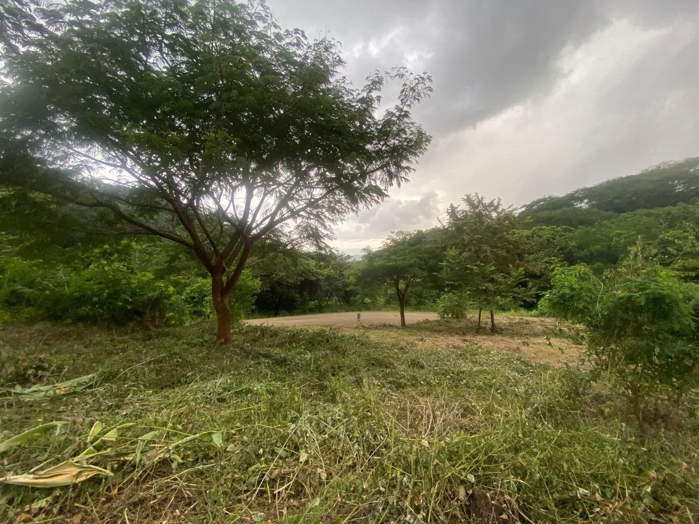 Vacant Land in Nosara - Costa Rica