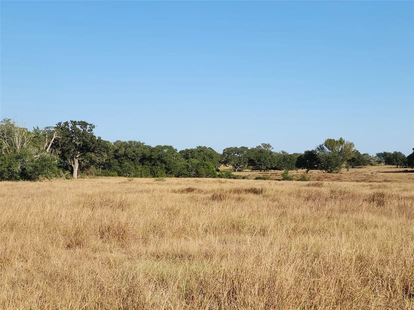 Vacant Land in Hallettsville