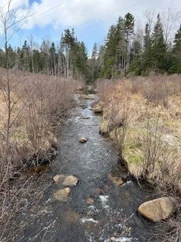 Lots & Land-Other in Heath - Heath, Massachusetts, 01340