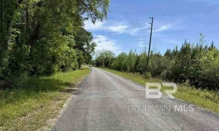 Lots & Land-Other in Millry