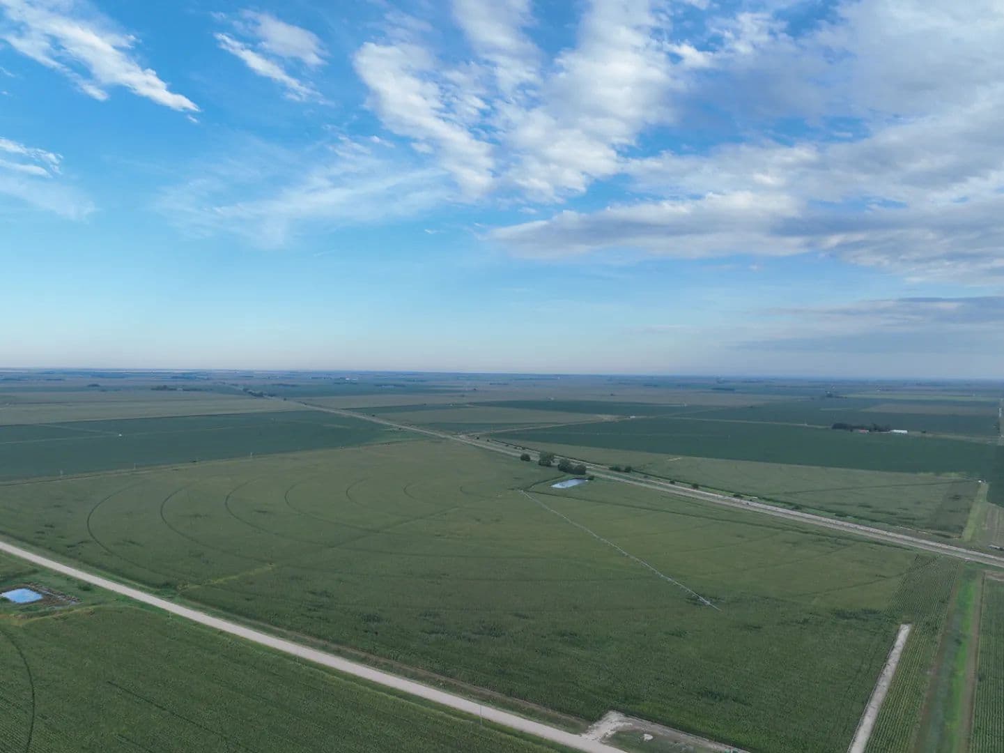 Farm For Sale | 142+/- Acres | Phelps County, NE - Loomis, Nebraska, 68958