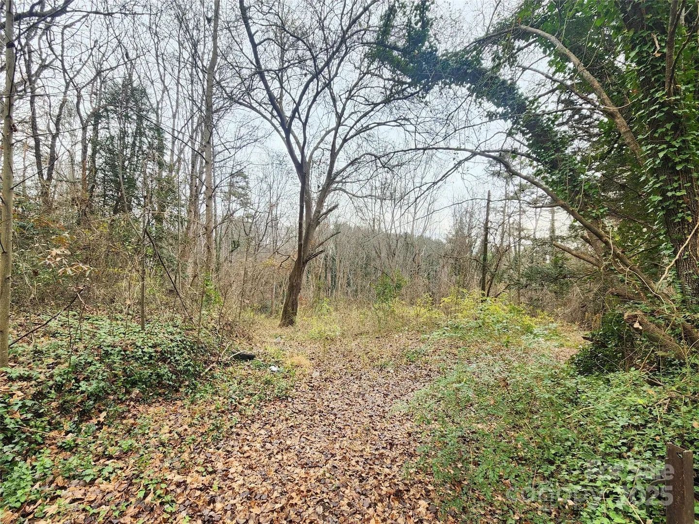 Lots & Land-Other in Hickory - Hickory, North Carolina, 28602
