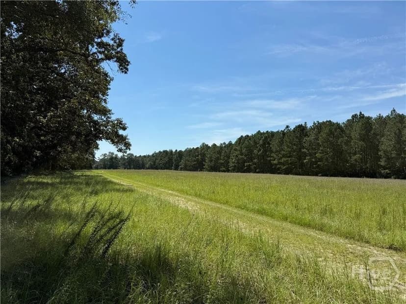 Lots & Land-Other in Claxton