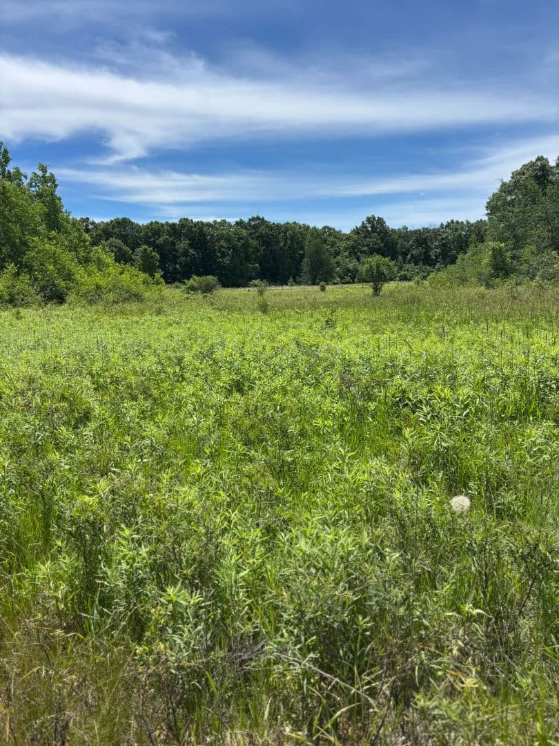 68± acre recreational property near Tomah in Monroe County - Tomah, Wisconsin, 54660