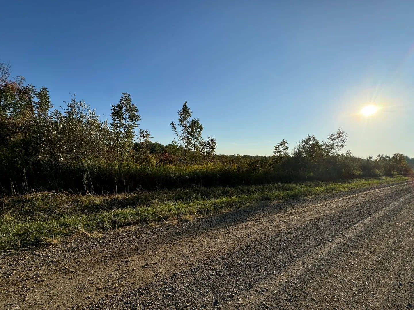 Vacant Land (10+ Acres) in Waterford - Waterford, Pennsylvania, 16441