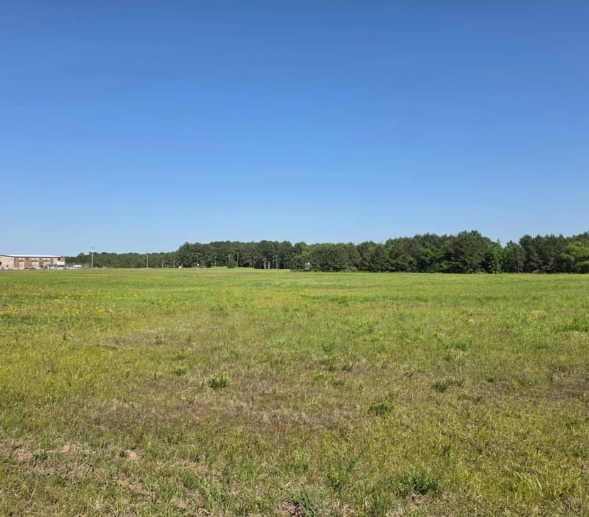 49 Acres in Winston County in Louisville, MS
