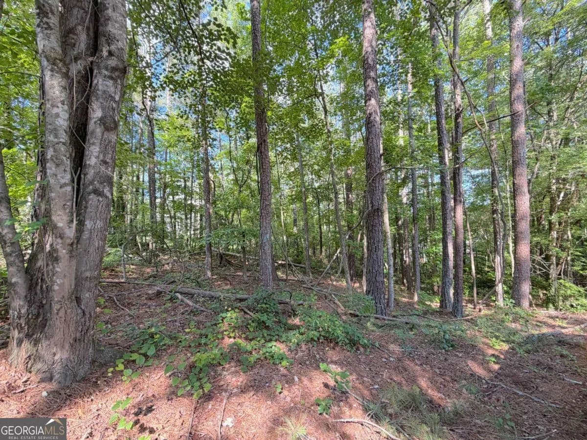 0.34 Acres of Land for Sale in Villa Rica, Georgia - Villa Rica, Georgia, 30180