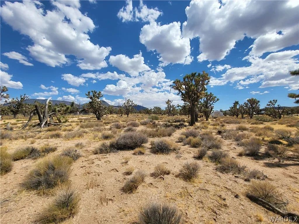 3.75 Acres of Land for Sale in Meadview, AZ - Meadview, Arizona, 86444