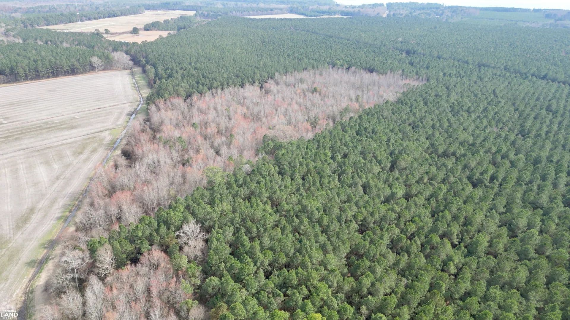 Bath Hunting & Timber Tract - Bath, North Carolina, 27808