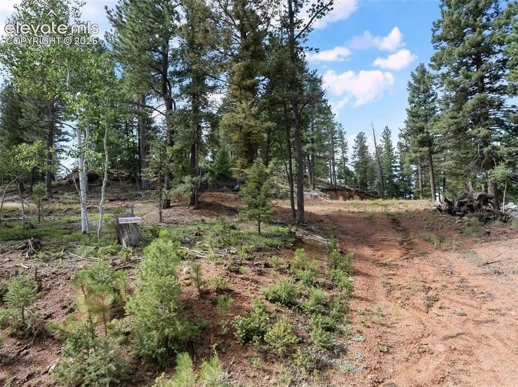 Lots & Land-Other in Divide - Divide, Colorado, 80814