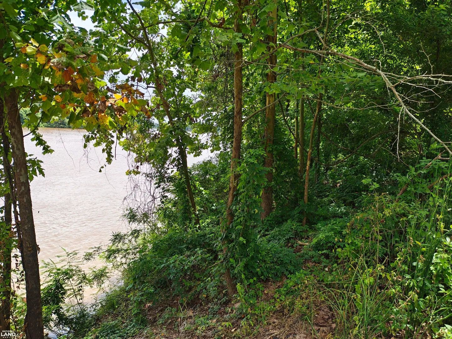 Red River Lot - Marksville, Louisiana, 71351