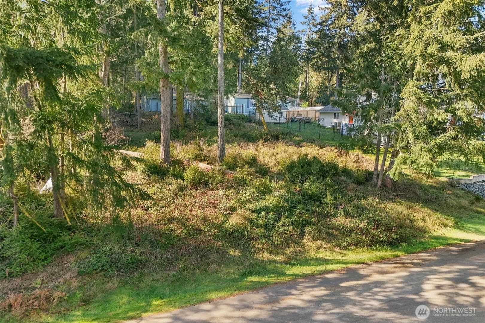 Vacant Land in Anderson Island - Anderson Island, Washington, 98303