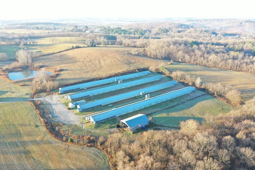 21 Oaks Free Range Broiler Farm – Four House Farm in Christian Co, Kentucky