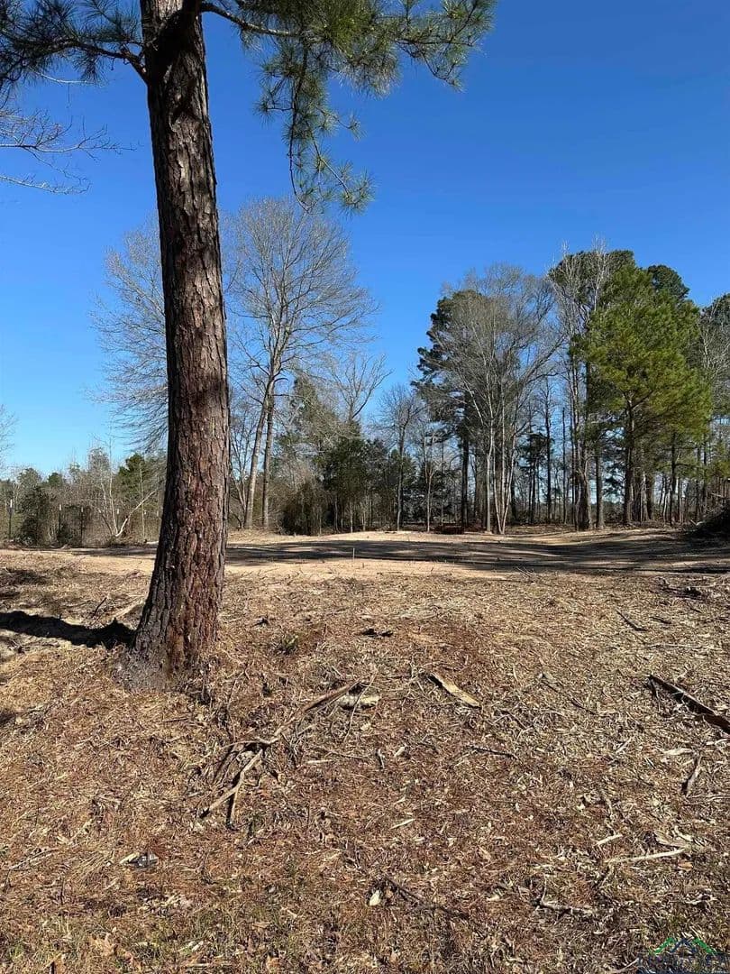 Lots & Land-Other in De Berry