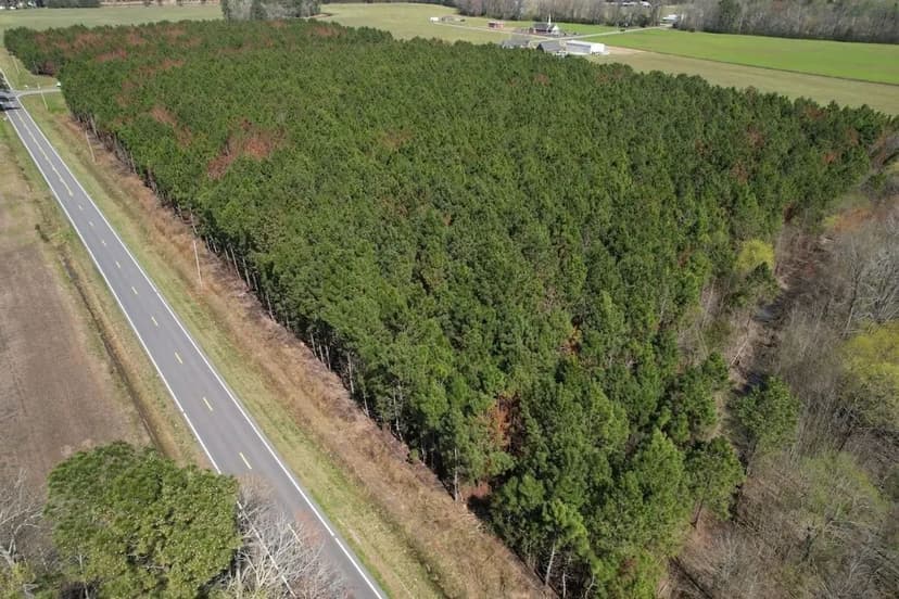 UNDER CONTRACT!!  26.76 Acres of Timberland For Sale in Columbus County NC!