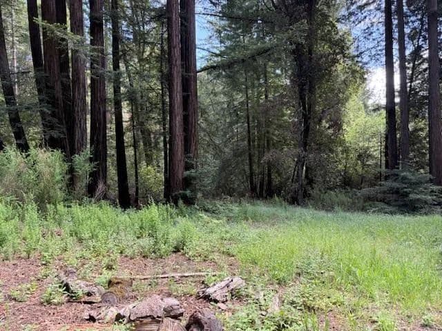 Property from 1701 Felton Quarry Rd. - KW - Felton, California, 95018