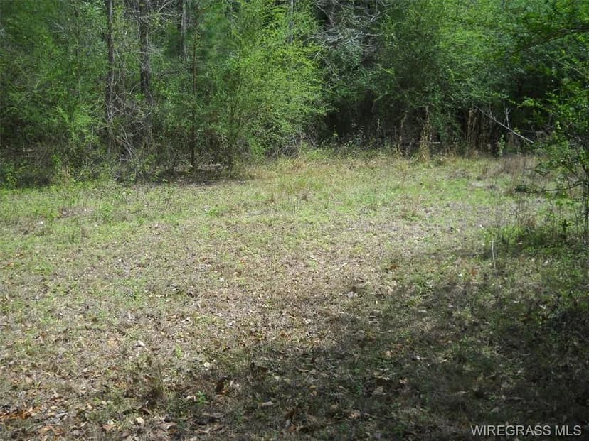 Land -Agricultural (Not Zoned) in Ozark
