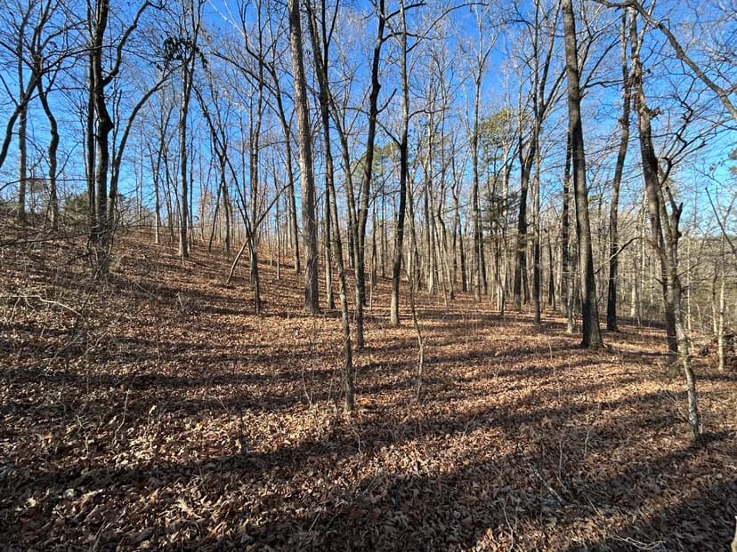71 Acres in Independence County, AR 