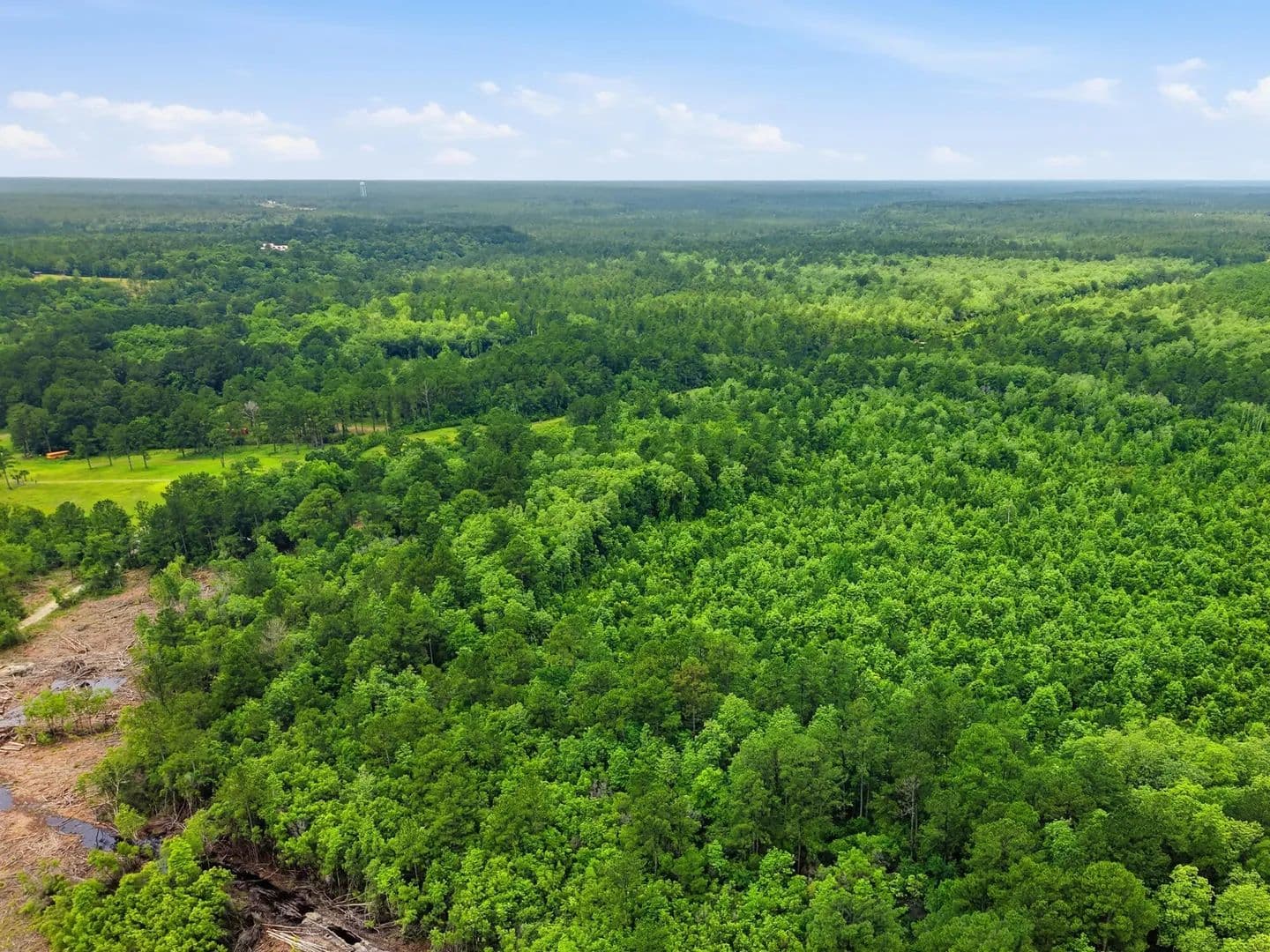 Vacant Land in DeFuniak Springs - Defuniak Springs, Florida, 32433