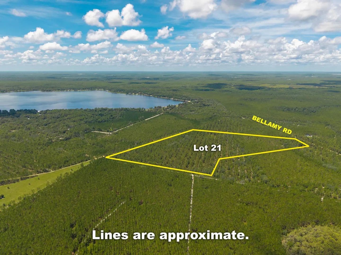 Vacant Land (10+ Acres) in Florahome - Florahome, Florida, 32140