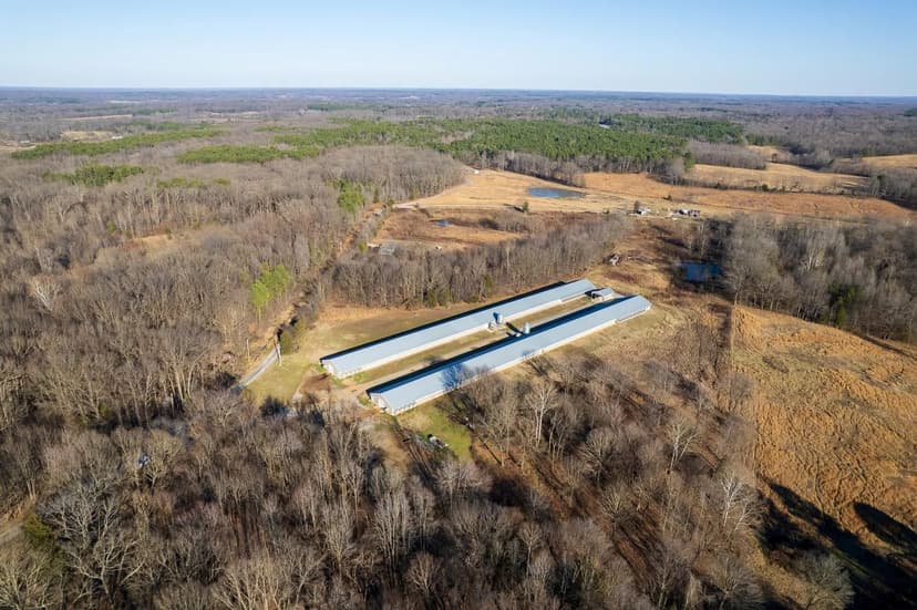 Rocky Top Breeder Farm – Weakley County, TN