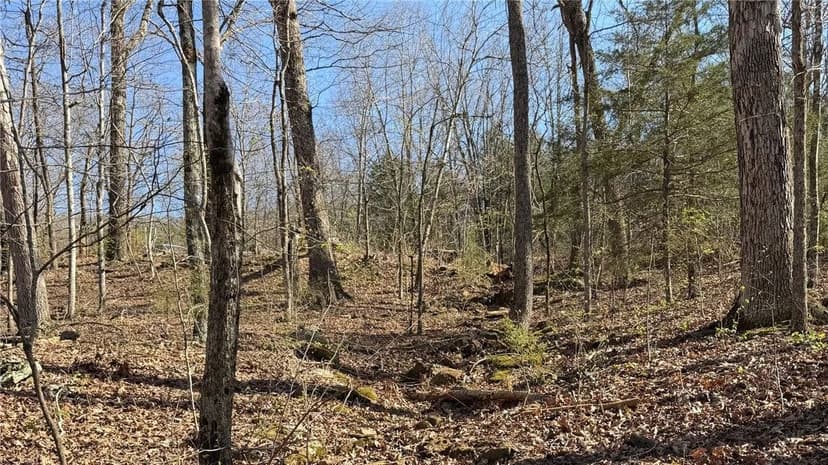 Lots & Land-Other in Crosses