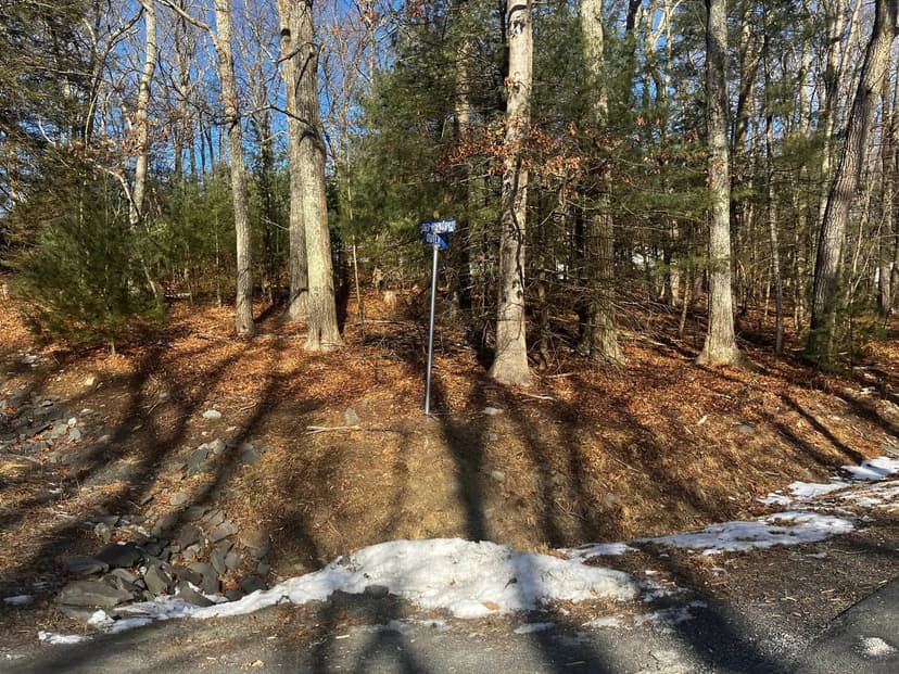 Vacant Land in Dingmans Ferry