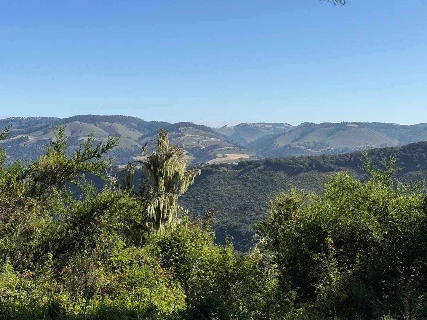 Property from 6 Rancho San Carlos (Lot E10) Road - KW - Carmel, California, 93923