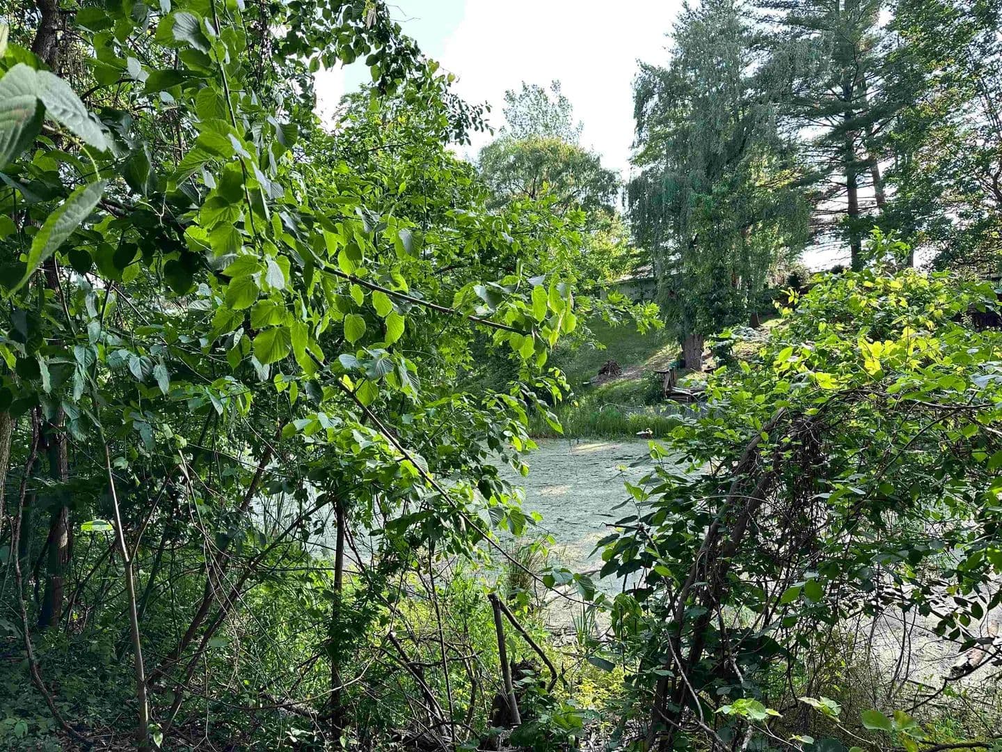 Vacant Land in Beaverton - Beaverton, Michigan, 48612