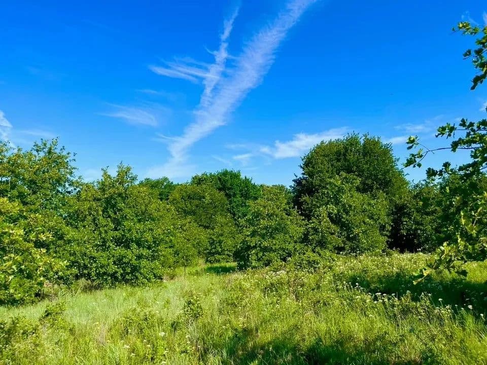 2.04 Acres of Land for Sale in Poolville, TX - Poolville, Texas, 76487