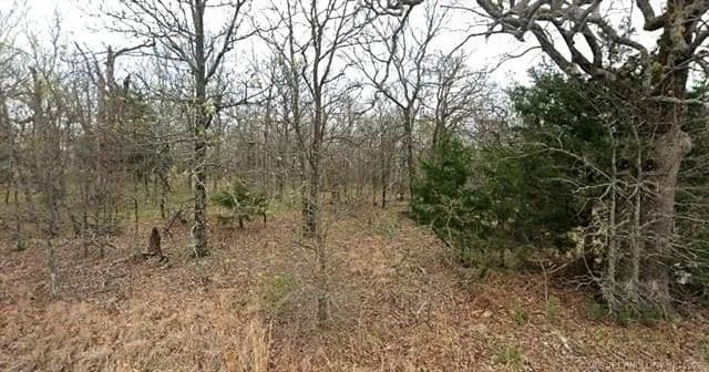 Lots & Land-Other in Cookson - Cookson, Oklahoma, 74427
