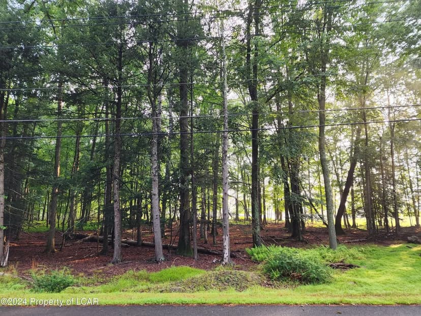 Lots & Land-Other in Hazleton