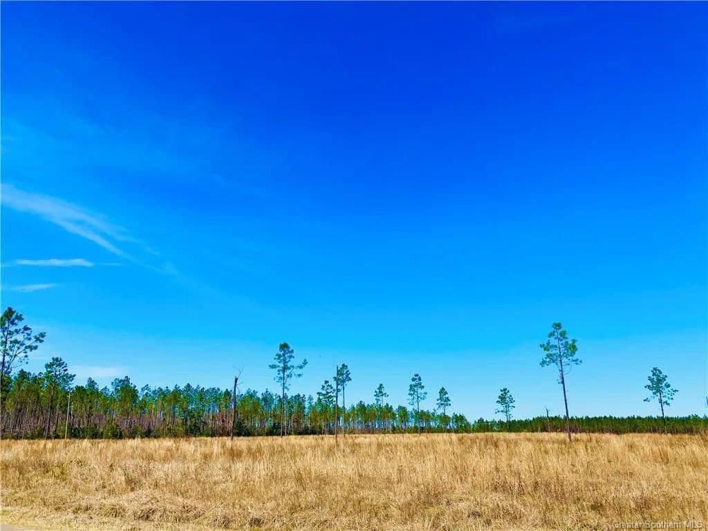 Lots & Land-Other in Dequincy - Dequincy, Louisiana, 70633
