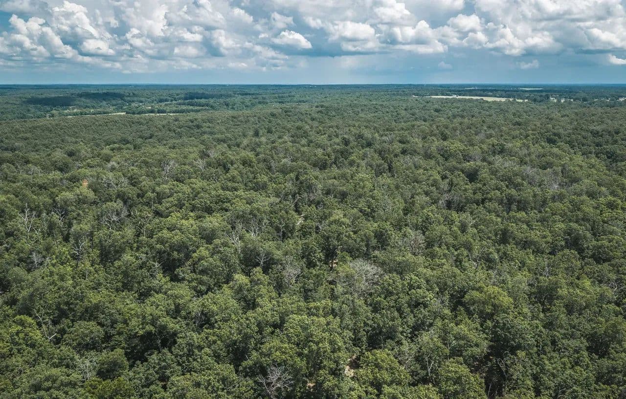 Geronimo Springs Woods-Tract 5 - Macks Creek, Missouri, 65786