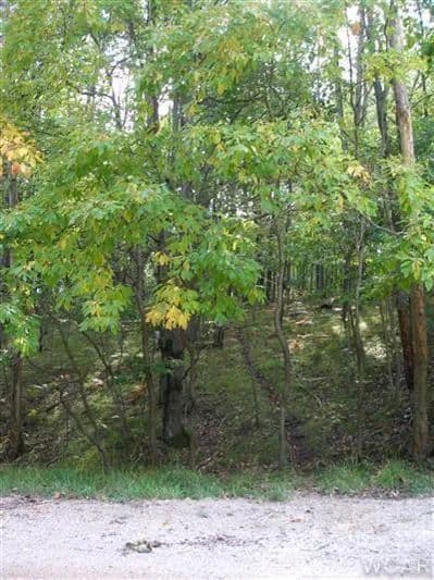 Vacant Land (0-10 Acres) in Canadian Lakes - Canadian Lakes, Michigan, 49346
