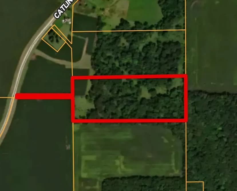 16.57 Acres of Versatile Land Vermilion County