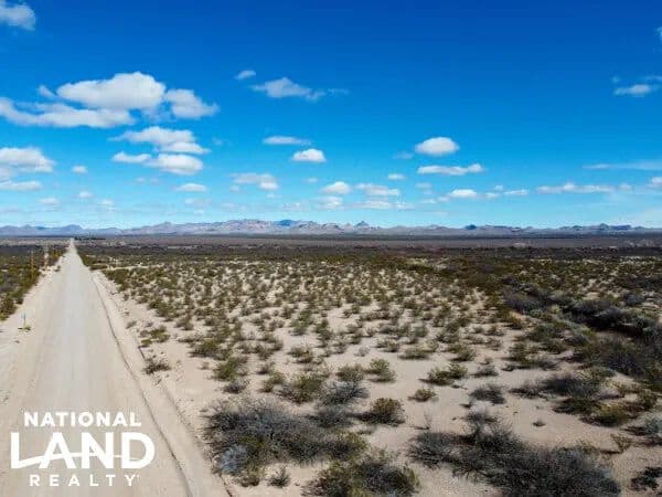 San Simon 160 acre Farm/Ranch Off Of O'Neil Rd - Cochise, Arizona, 85632