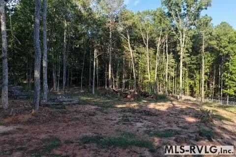 Vacant Land in Bracey - Bracey, Virginia, 23919