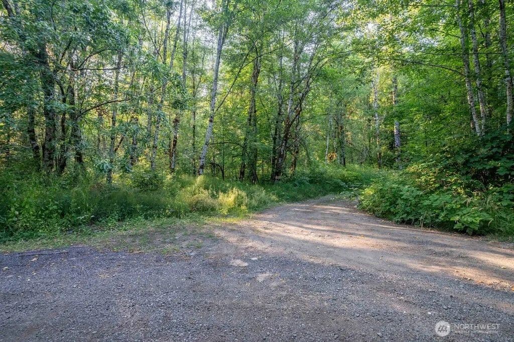 10 Acres of Land for Sale in Shelton, WA - Shelton, Washington, 98584