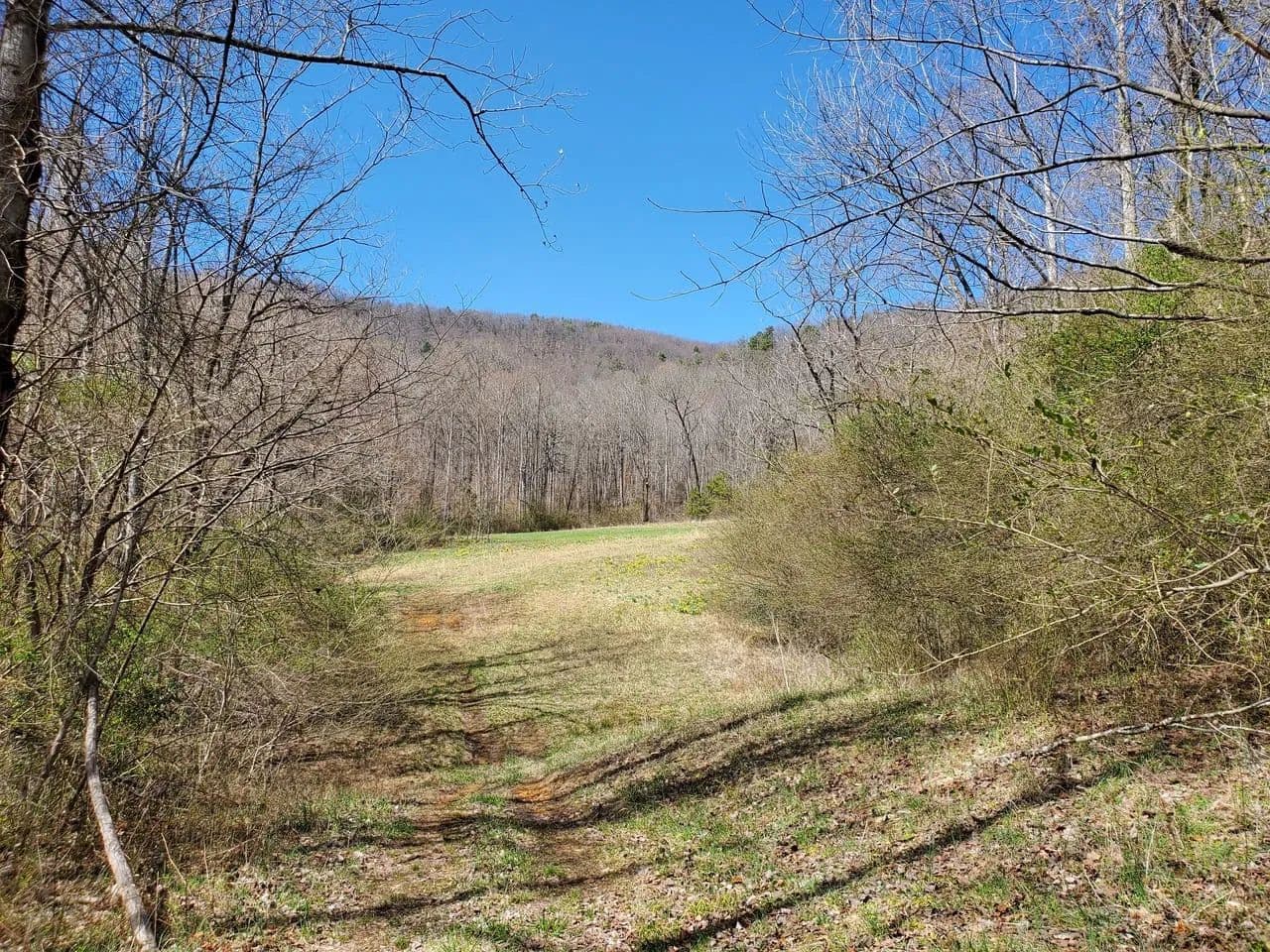 +/-205ac - 8057 NC Hwy 16 Moravian Falls NC - Alexander Co - Moravian Falls, North Carolina, 28654
